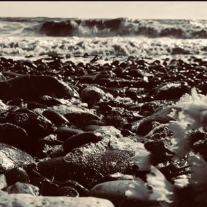 Meet your Posher, Ayla